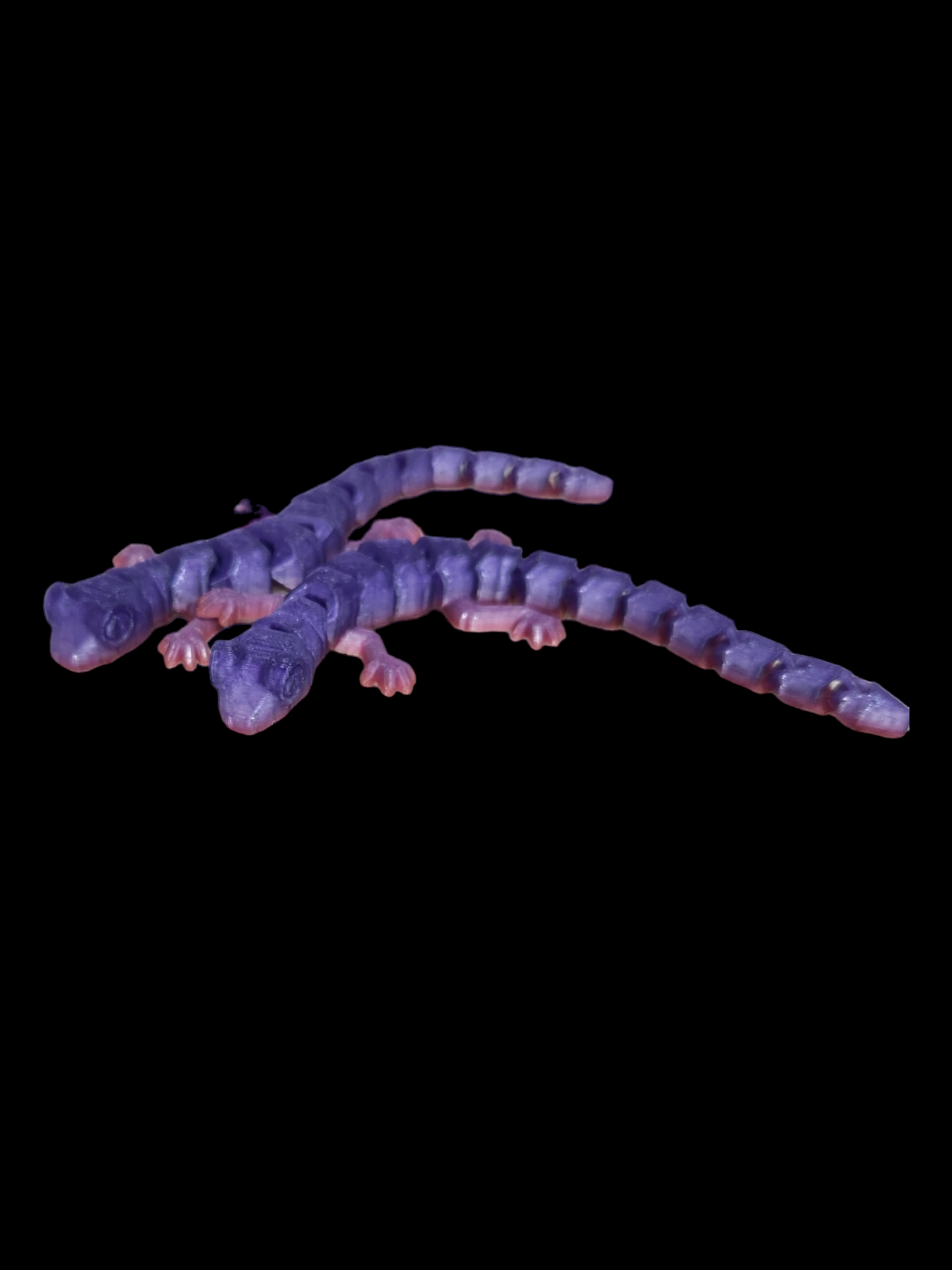 Gecko