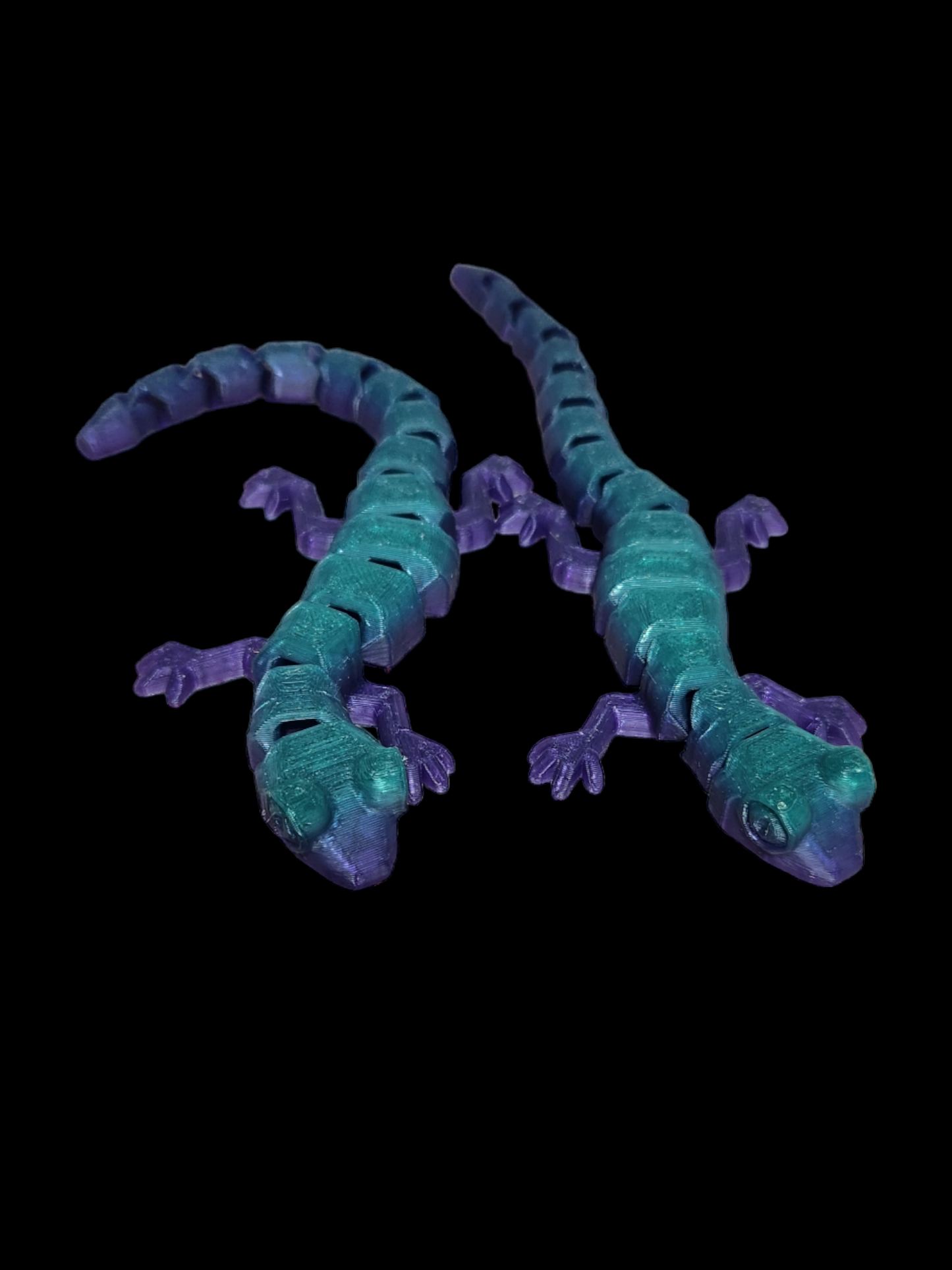 Gecko