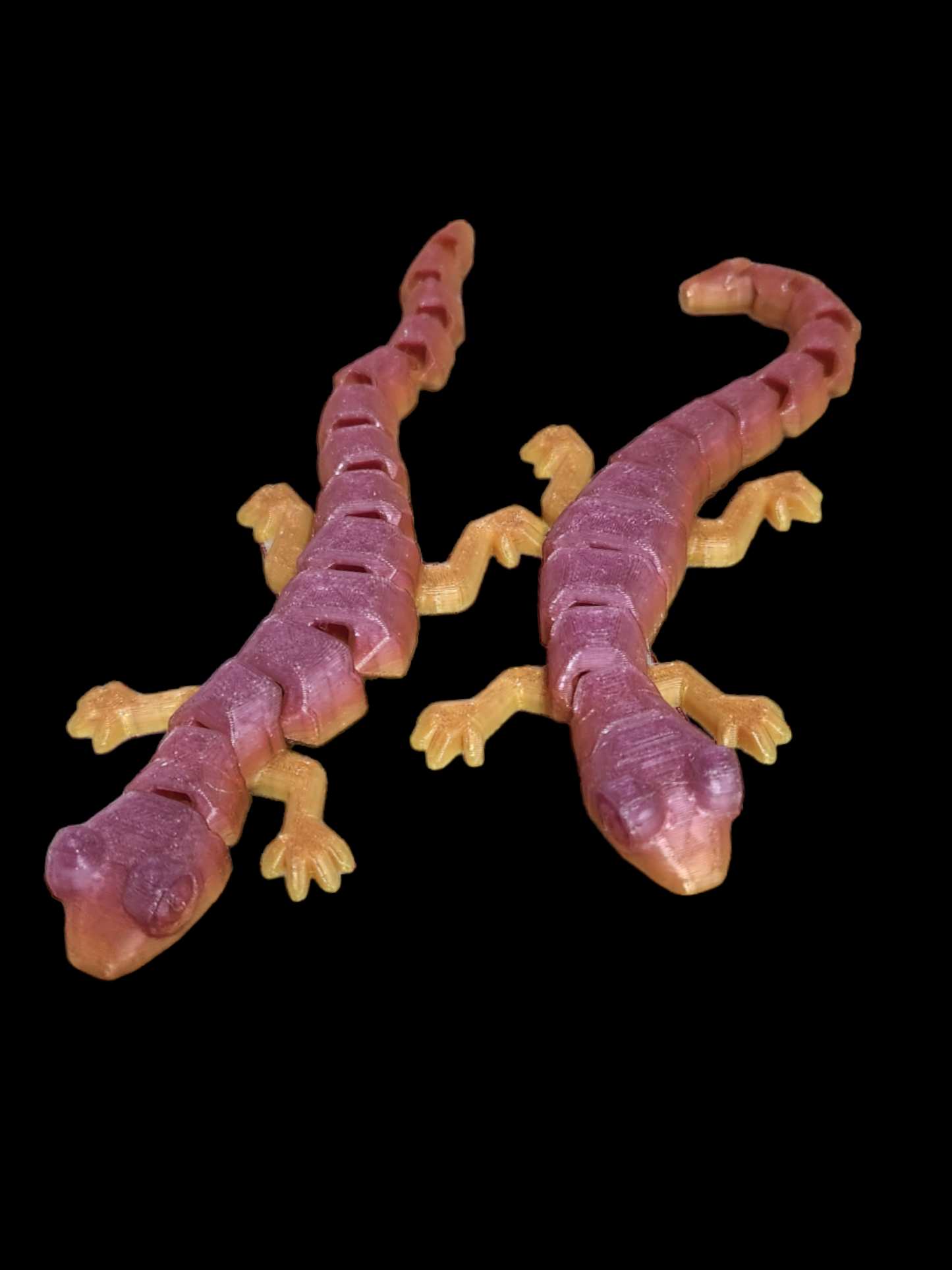 Gecko