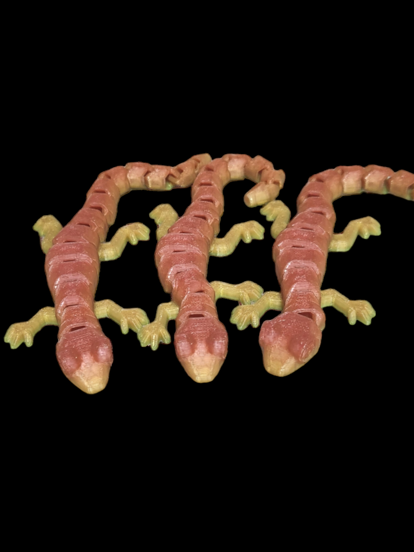 Gecko