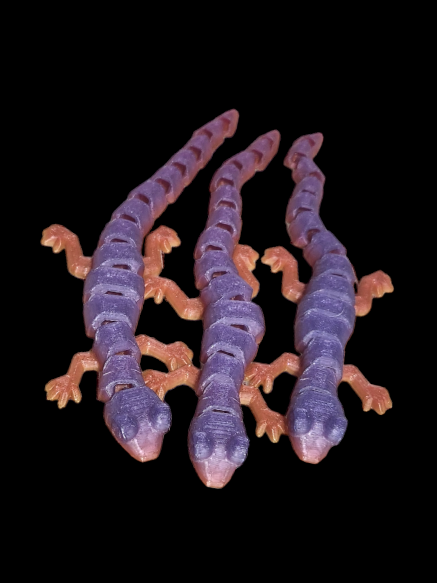 Gecko